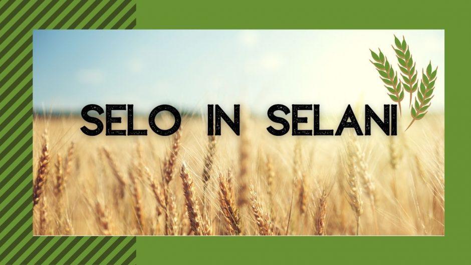 selo in selani (1)