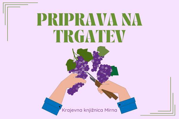Priprava na trgatev