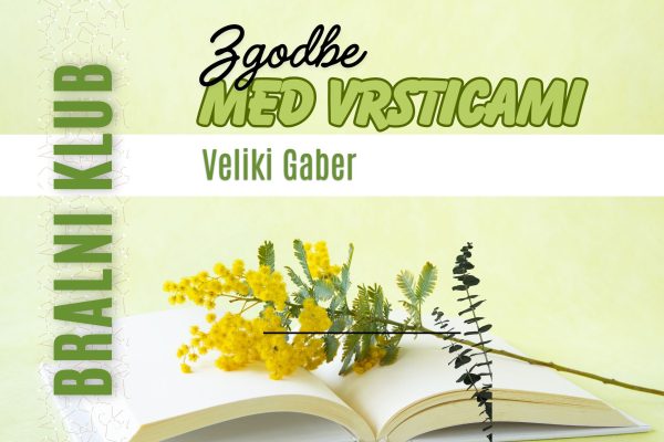 Bralni klub Veliki Gaber