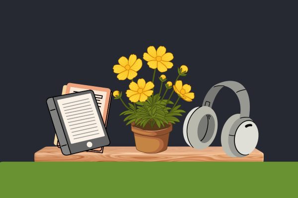 Uporaba e-bralnika in zvočnih knjig v Šentrupertu