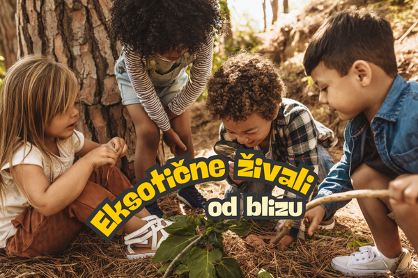 Naravoslovne delavnice VG (600 x 400 pik)